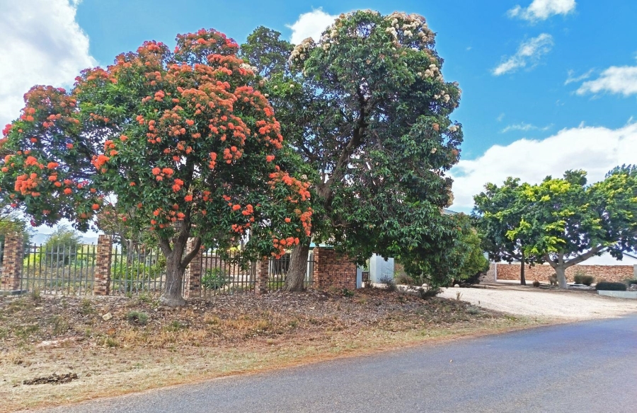 3 Bedroom Property for Sale in Fisherhaven Western Cape